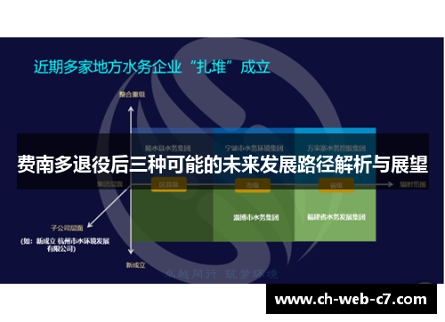费南多退役后三种可能的未来发展路径解析与展望 费南多退役后三种可能的未来发展路径解析与展望