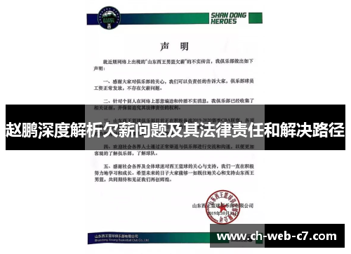 赵鹏深度解析欠薪问题及其法律责任和解决路径 赵鹏深度解析欠薪问题及其法律责任和解决路径