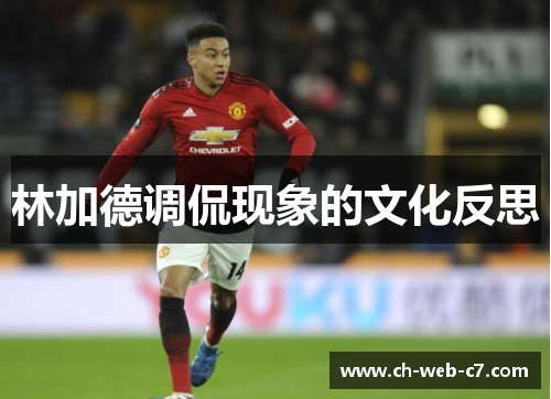 林加德调侃现象的文化反思 林加德调侃现象的文化反思