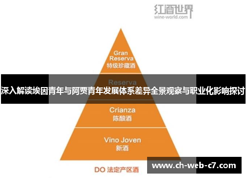 深入解读埃因青年与阿贾青年发展体系差异全景观察与职业化影响探讨