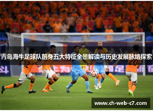 青岛海牛足球队前身五大特征全景解读与历史发展脉络探索 青岛海牛足球队前身五大特征全景解读与历史发展脉络探索