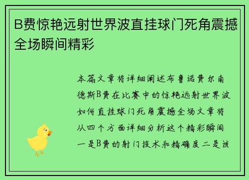 B费惊艳远射世界波直挂球门死角震撼全场瞬间精彩