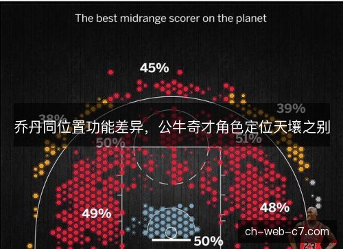 乔丹同位置功能差异，公牛奇才角色定位天壤之别